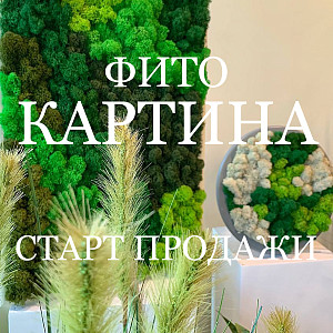 Мы запустили продажу ФИТОКАРТИНЫ