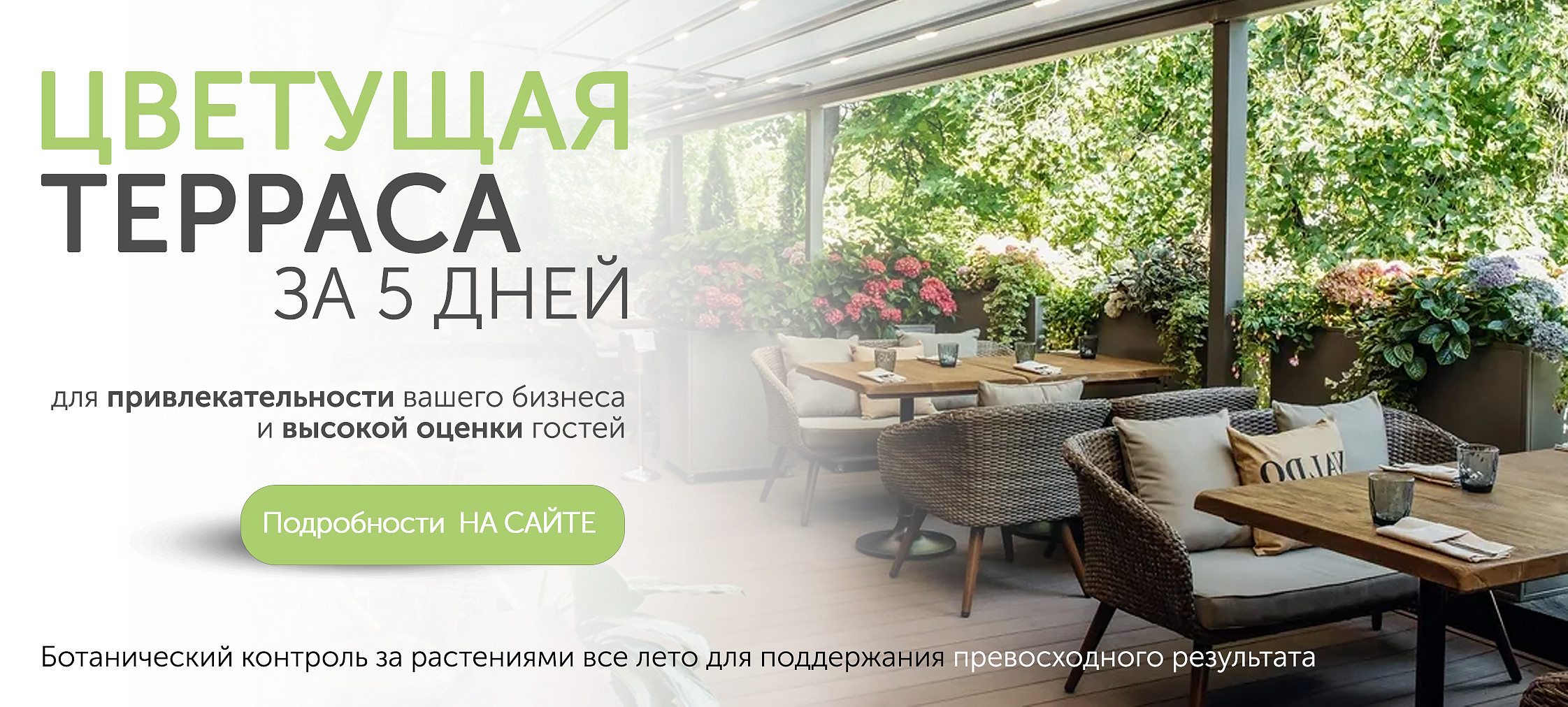 ТЕРРАСЫ 2025