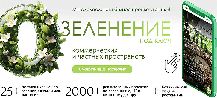Озеленение 28.02.2025