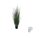 Трава Grass в кашпо