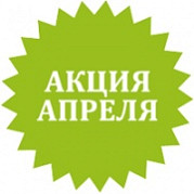 Акция апреля «Весна в вазоне!»