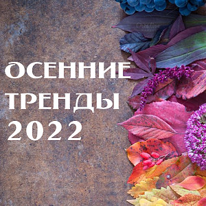 Вдохновляйтесь этой осенью вместе с нами