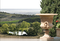 Амфора ACANTO