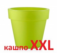 Новый раздел в каталоге - Горшки и кашпо XXL